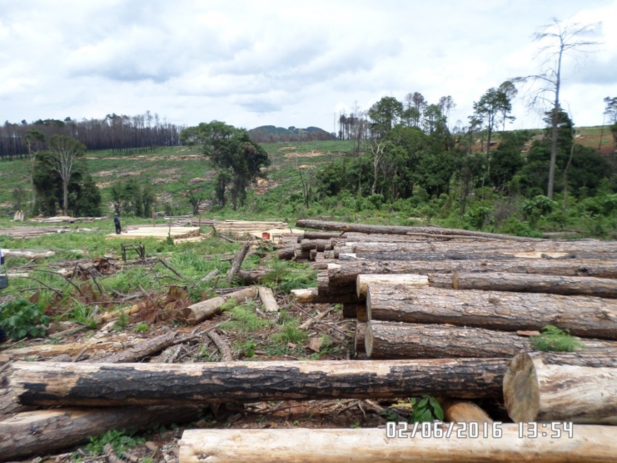 Chikangawa Forest on fire, Malawi’s biggest forest reduces to backyard ...