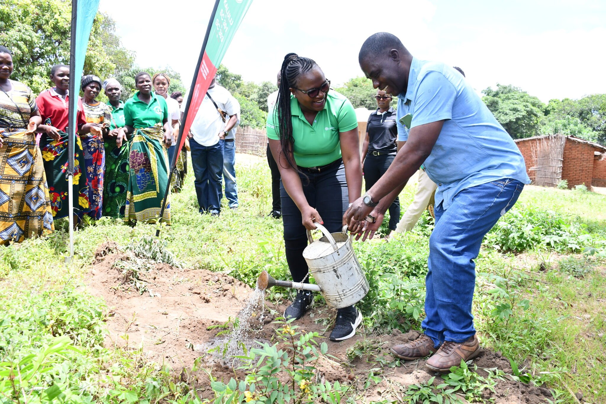 Old Mutual, Seed Co jointly plants over 10 000 trees in Lilongwe and ...